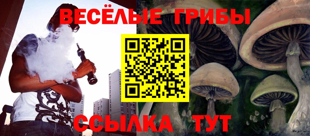 Псилоцибиновые грибы мицелий  Псилоцибиновые грибы GOLDEN TEACHER  Вход с VPN  Бузулук 